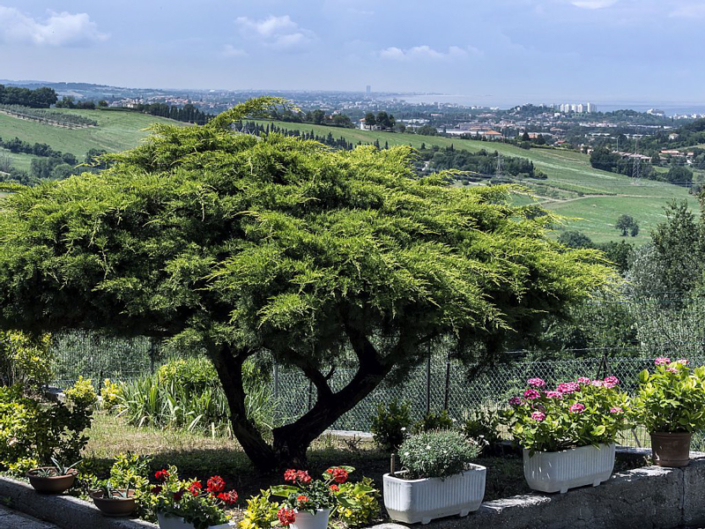 Gradara