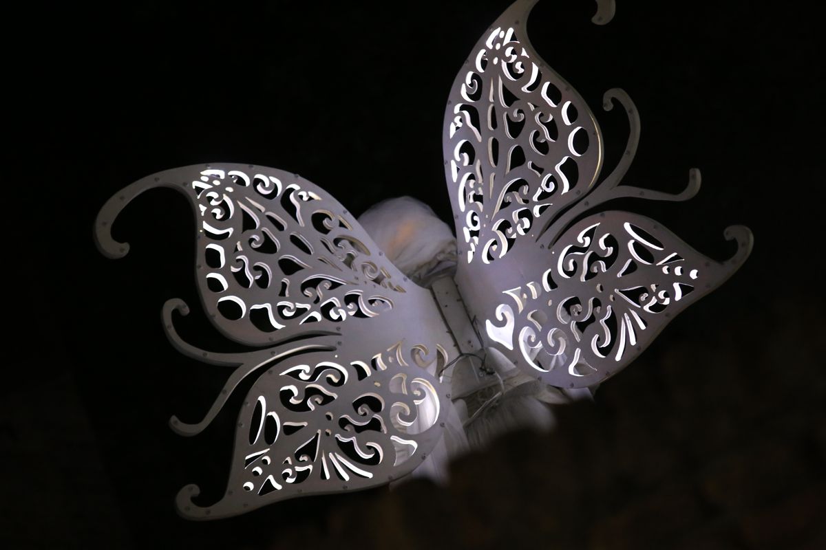 Farfalle