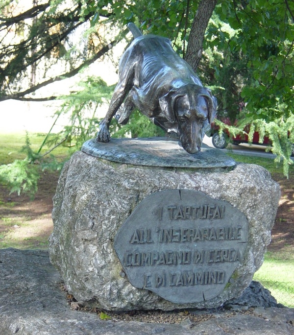 48a Mostra del Tarufo Bianco 48a Mostra del Tarufo Bianco