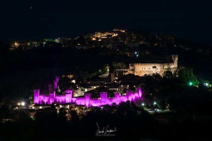 Notte Rosa