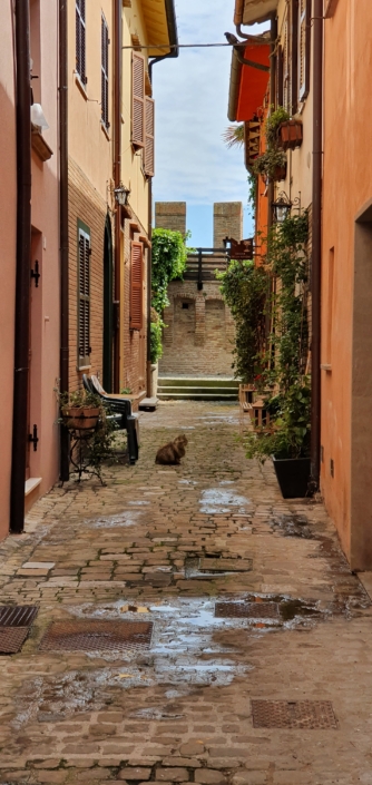 20210414_125939 Angoli del borgo di Gradara