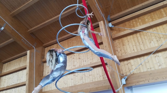 Fenix-Art-on-Gym