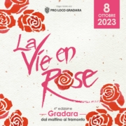 post-quadrato-vie-en-rose