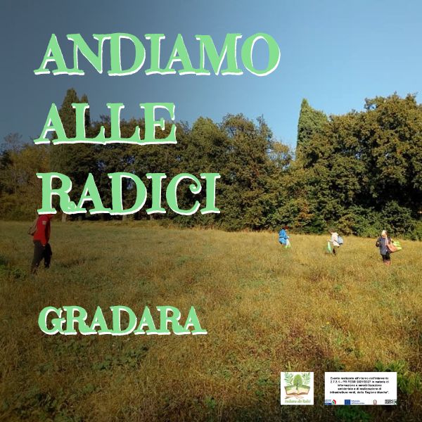 andiamo-alle-radici4